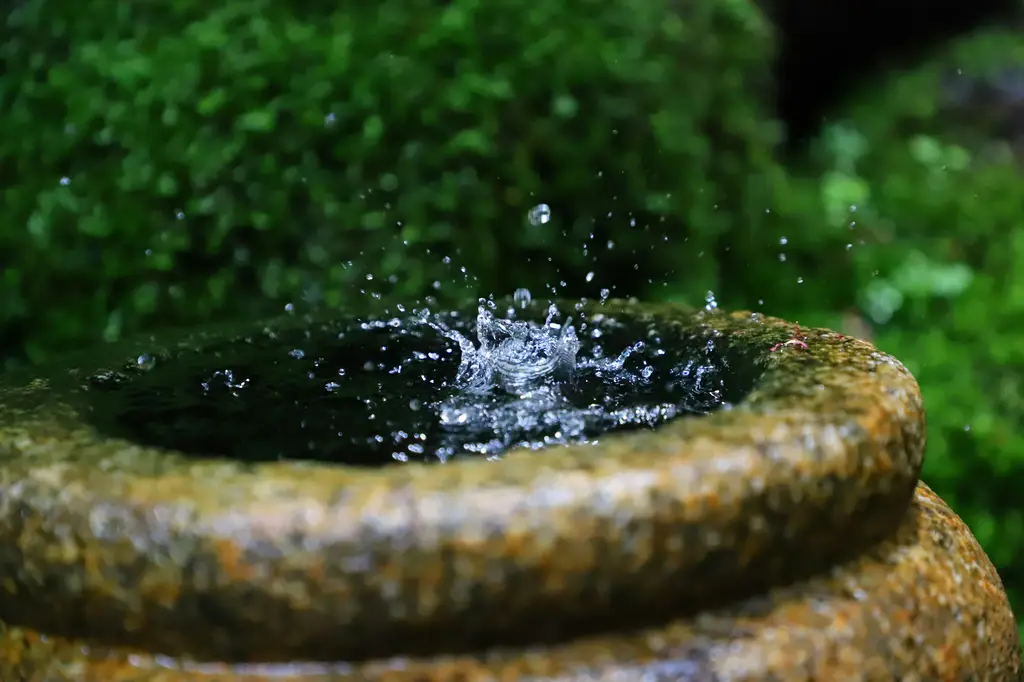 玩水消暑不用花大錢！全台免費玩水景點大搜查