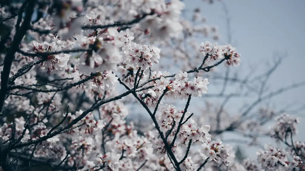 南部故宮溜滑梯：全台最夯溜滑梯體驗