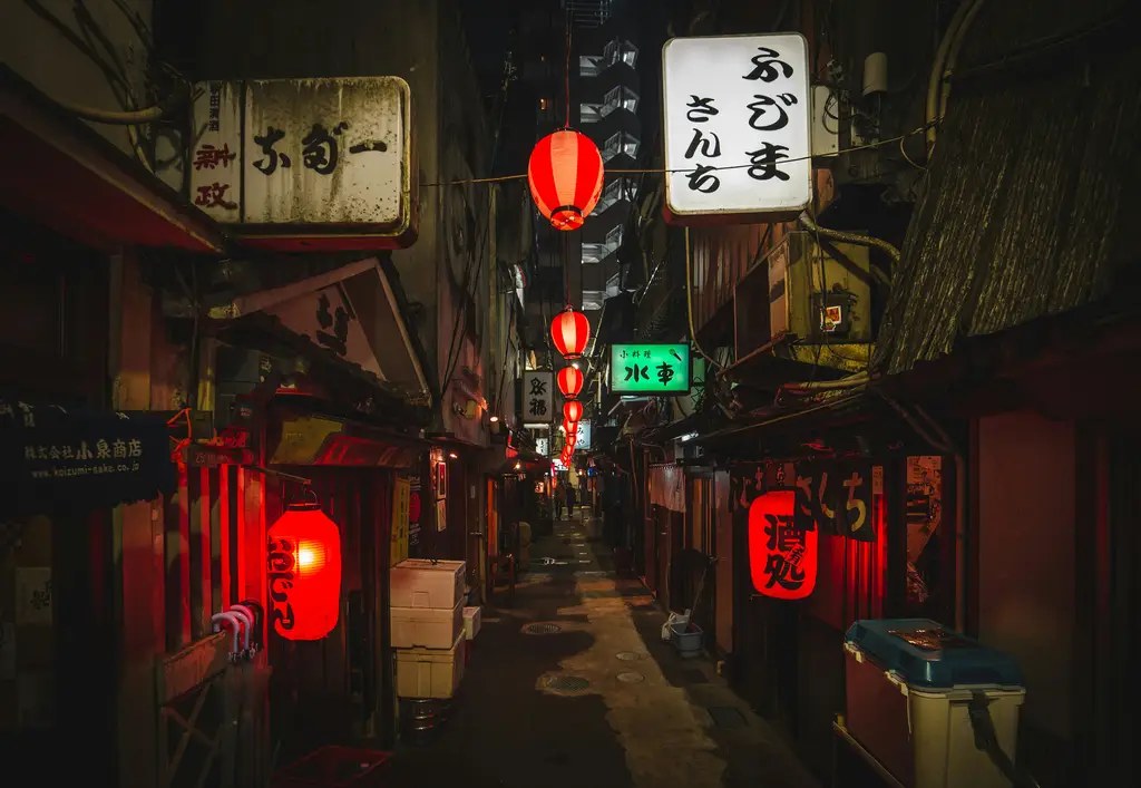 夜遊親子景點：跟著寶貝探索台北夜晚的奇幻世界