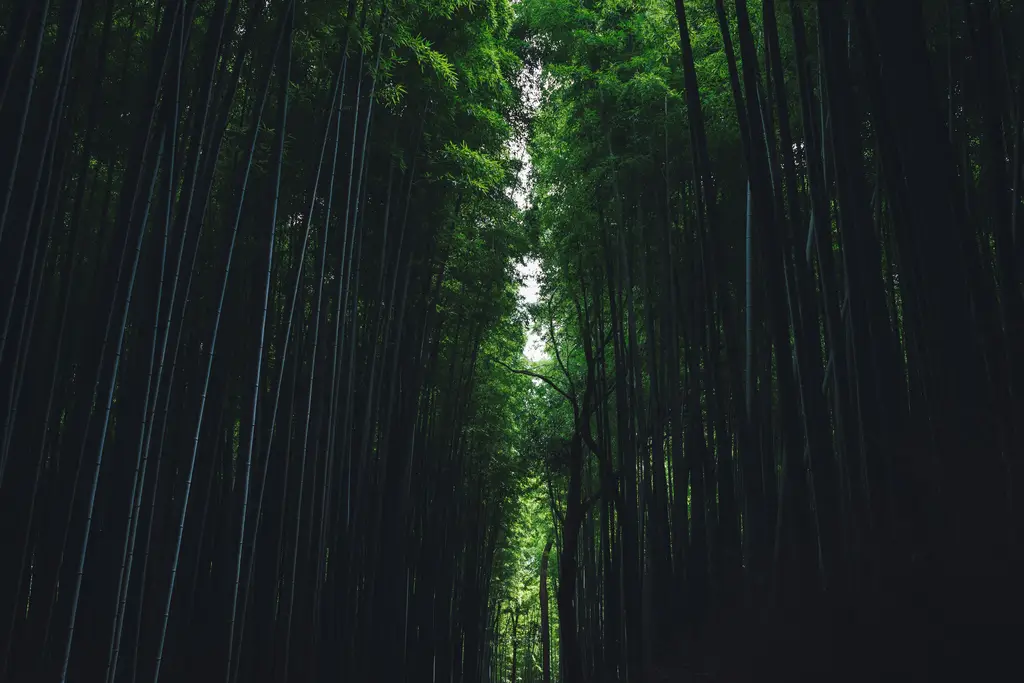 雨季親子室內好去處！台灣全方位指南