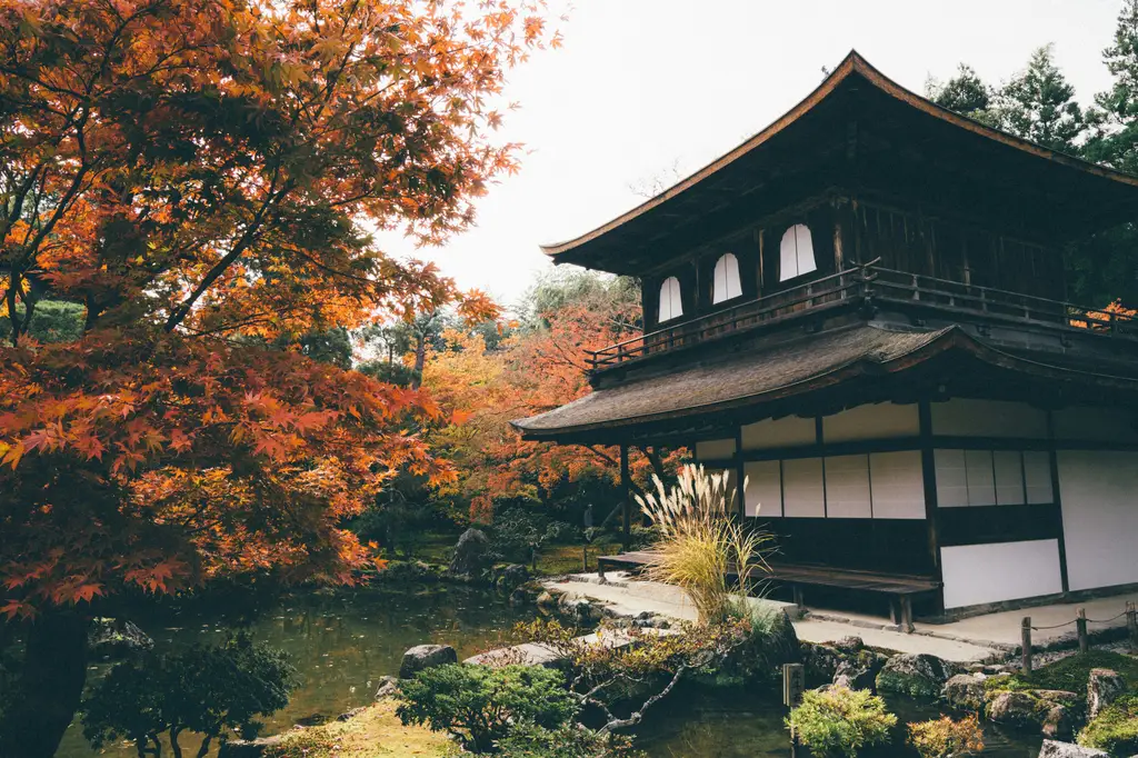 室內玩水好去處，讓你全年無憂盡情玩水！