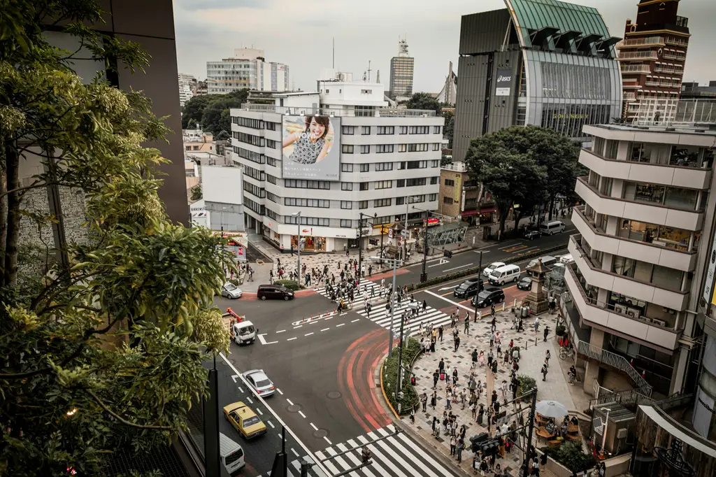 台灣小豬觀光農場大探險