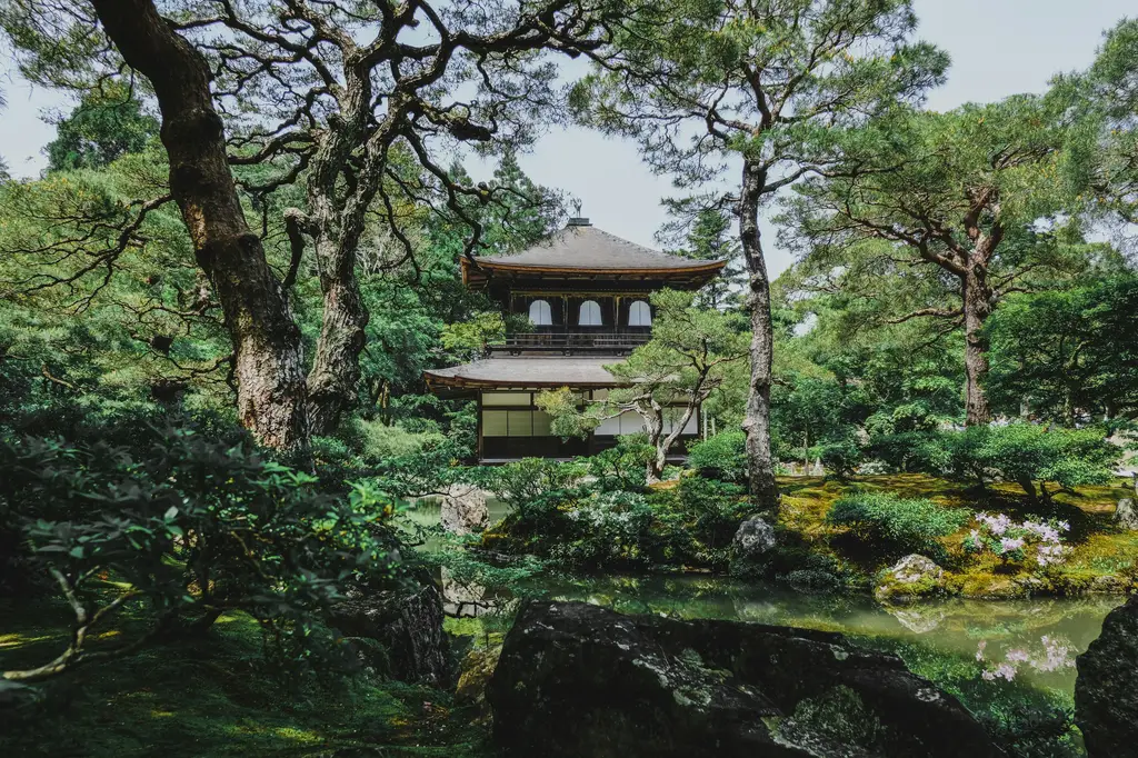 新子好去處：探索台灣最棒的親子景點