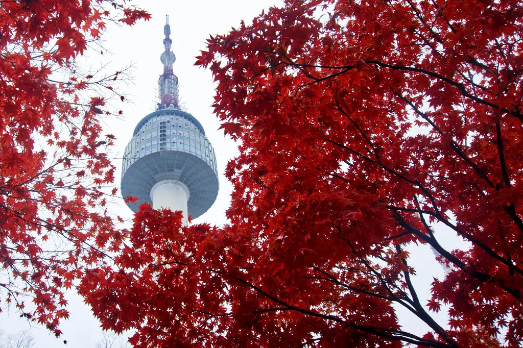 中部南部親子三天兩夜小旅行