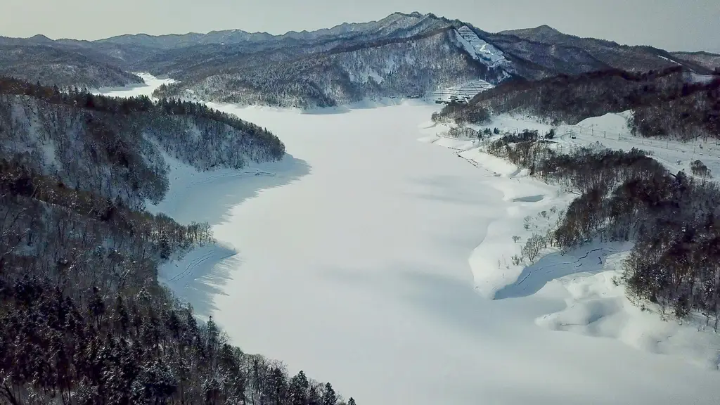 親子去處的樂園指南