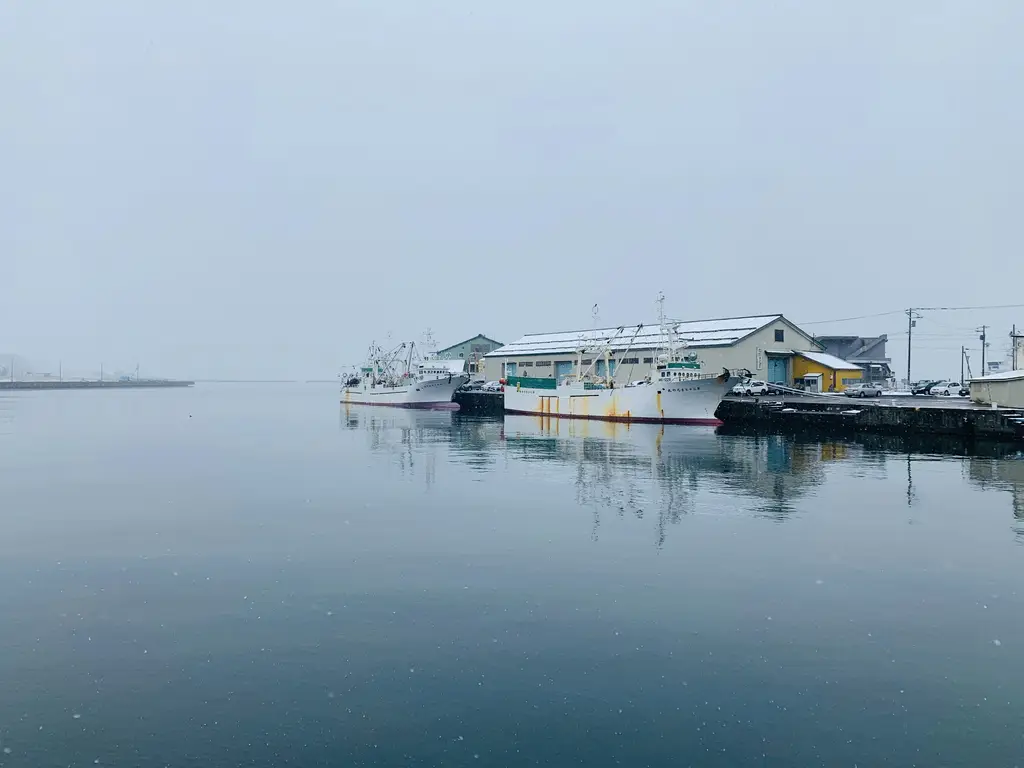 漁光島親子遊玩指南