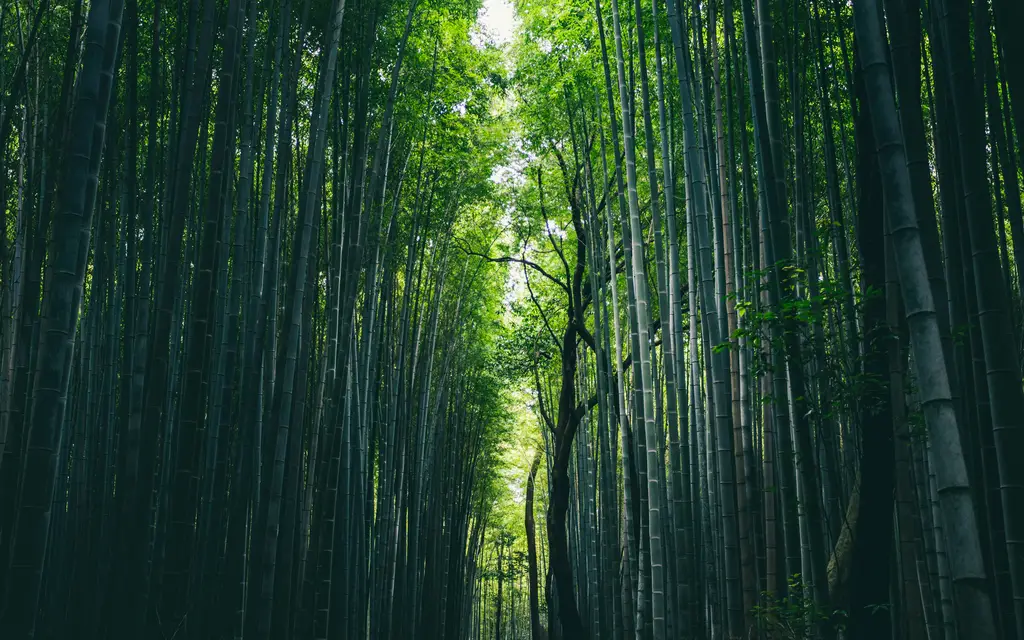 積木博物館營業指南：玩樂趣，增智慧！