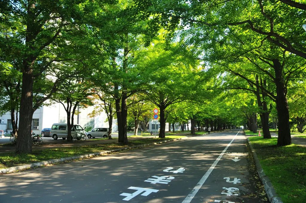 花東親子好去處：發掘東台灣的親子樂園