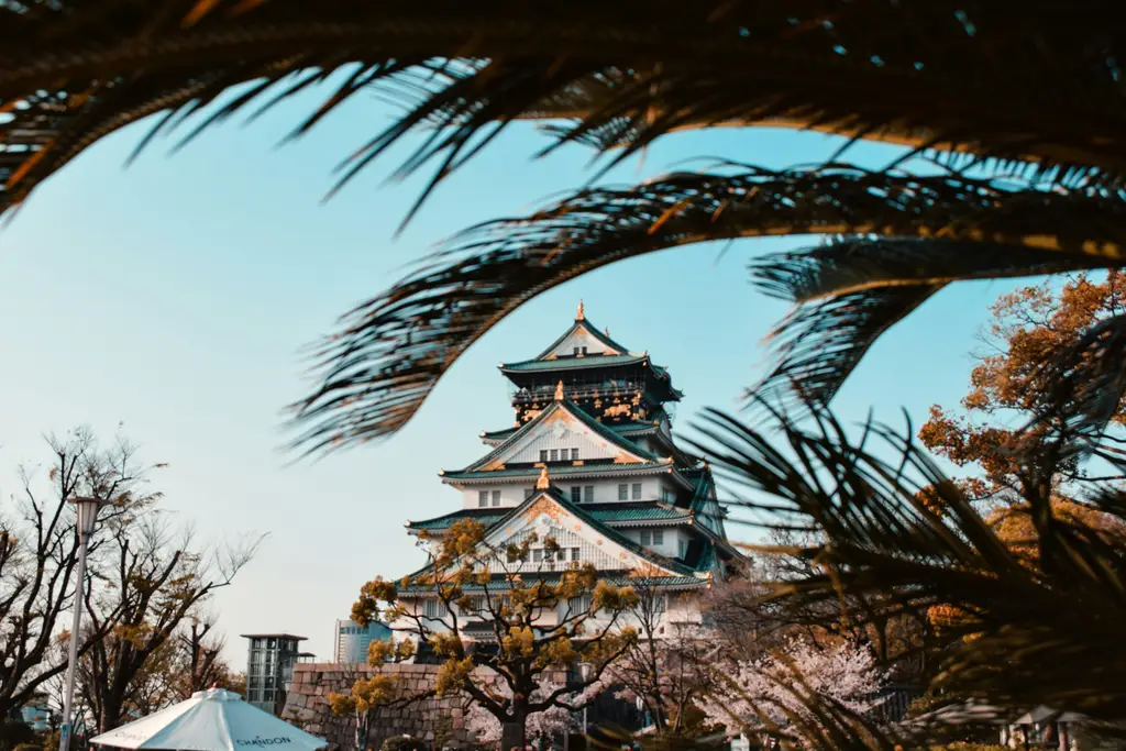 中部兒童遊樂天堂：台中兒童公園深度探索