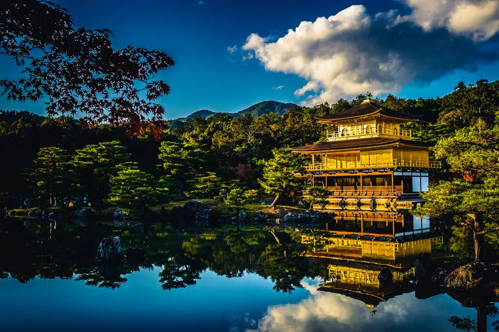 親子三日遊樂翻天：探索台灣精彩童趣景點