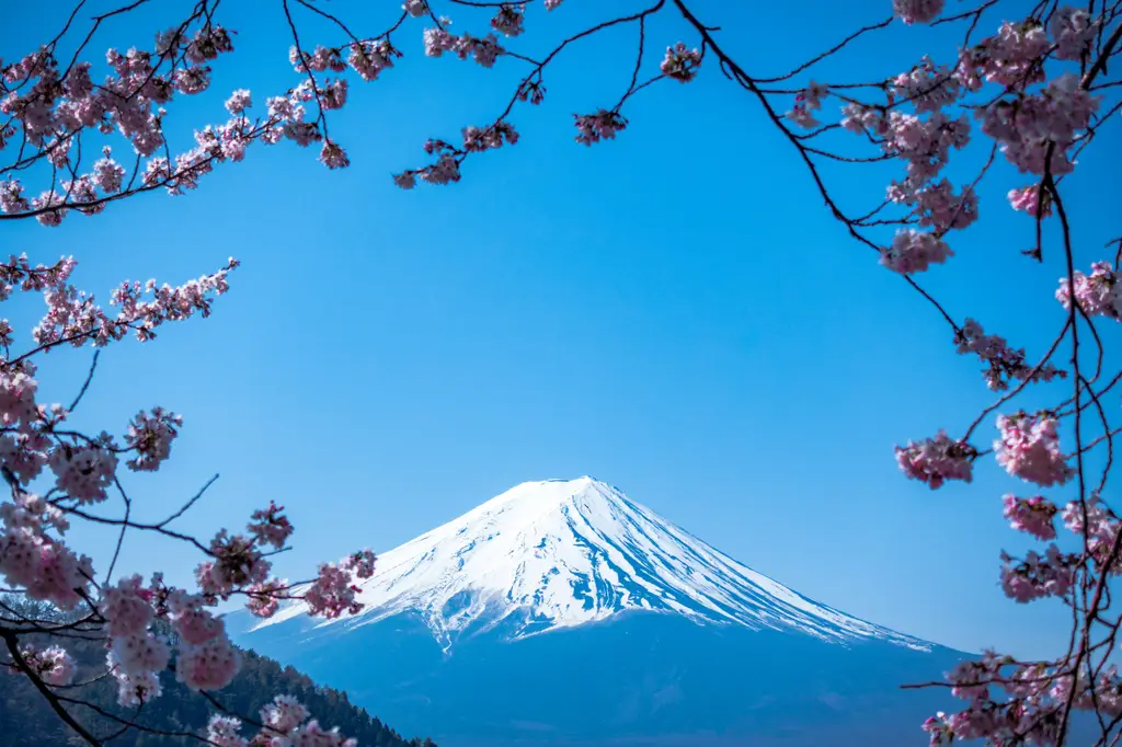 親子好去處：室內篇